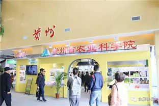 第二届粤桂黔名优农产品食品展示博览会盛大开幕，推动区域农业高质量发展